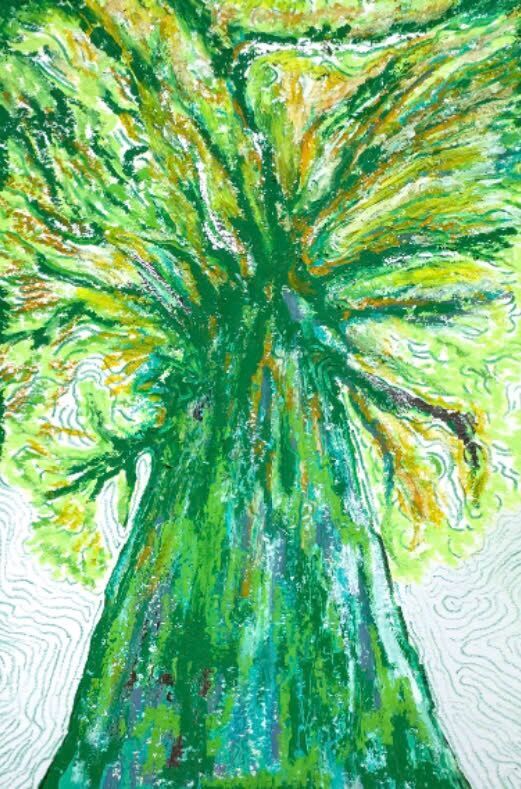 ÁP THẤP NHIỆT ĐỚI XANH LÁ