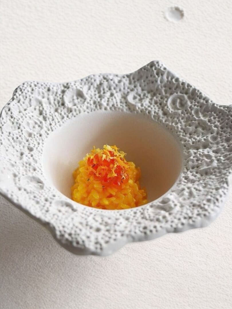WAVY BORDER CORAL BOWL - Hình ảnh 2