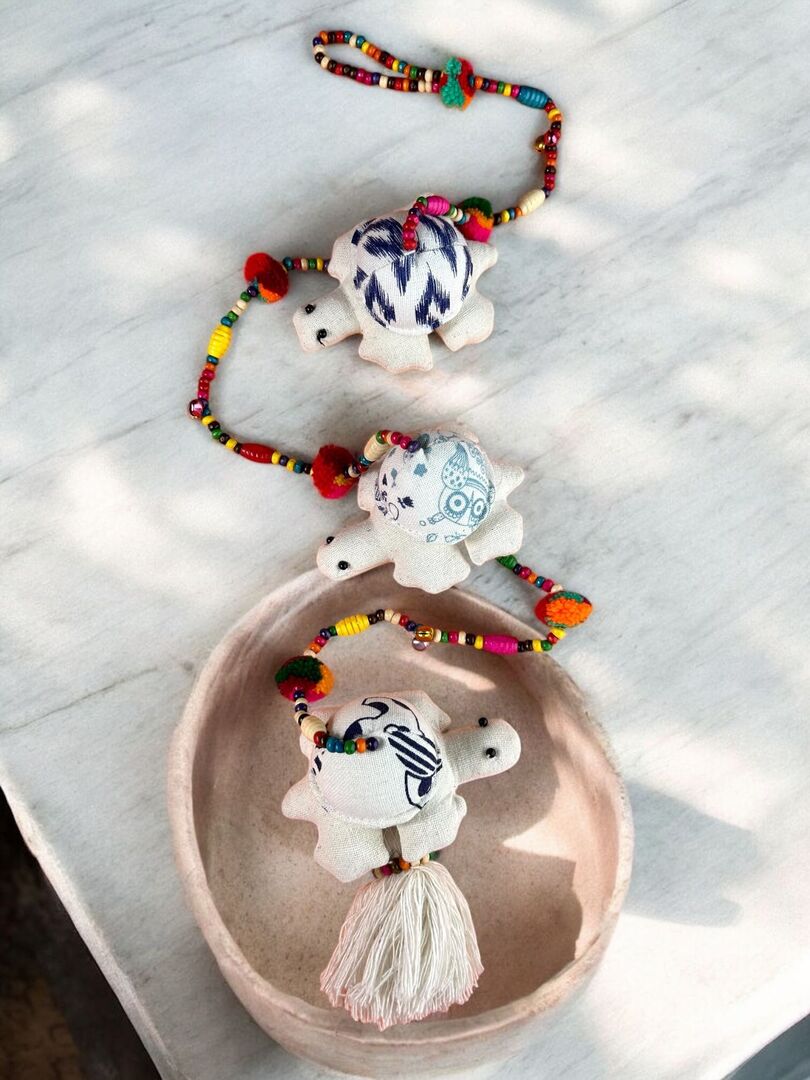 DÂY THỔ CẨM RÙA - Hình ảnh 3