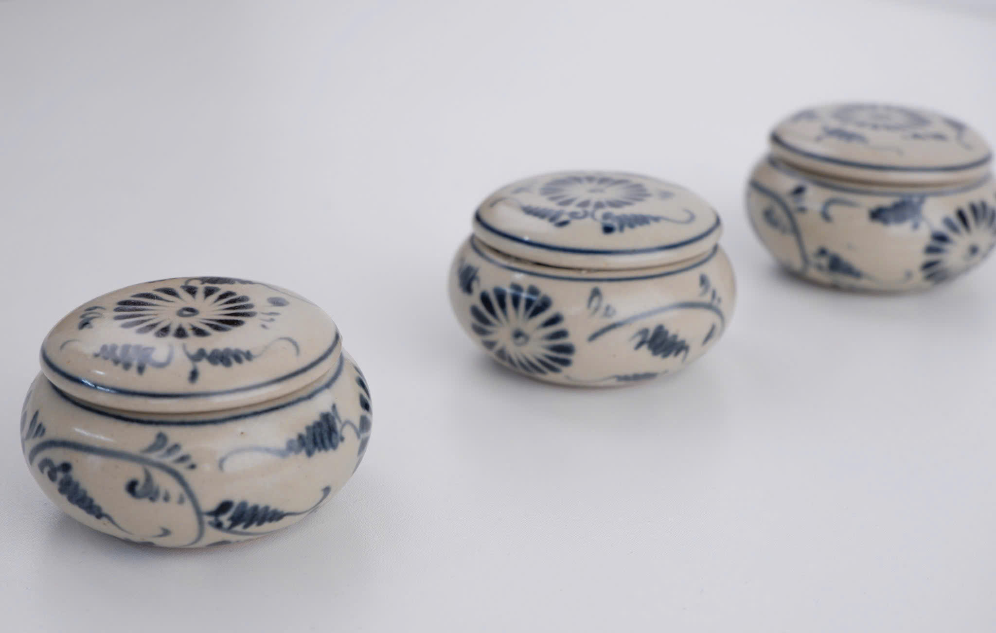 Bộ Gia Vị Việt Nam - Hình ảnh 4